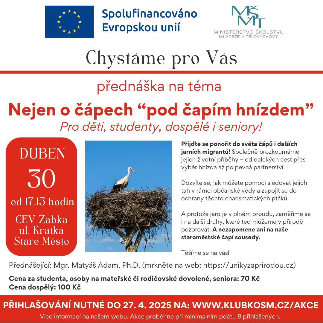 Nejen o čápech pod čapím hnízdem.jpg